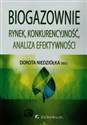 Biogazownie rynek konkurencyjność analiza efektywności  - 