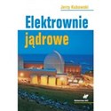 Elektrownie jądrowe polish usa