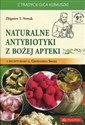 Naturalne antybiotyki z Bożej apteki z recepturami o. Grzegorza Sroki Canada Bookstore
