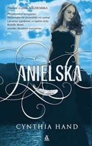 Anielska chicago polish bookstore