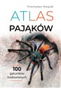 Atlas pająków - Polish Bookstore USA