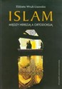 Islam Między herezją a ortodoksją in polish