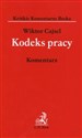 Kodeks pracy Komentarz buy polish books in Usa