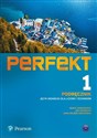 Perfekt 1 Podręcznik Język niemiecki Liceum i technikum Polish Books Canada