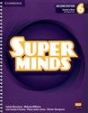 Super Minds 6 Teacher's Book with Digital Pack British English online polish bookstore