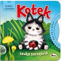 Baw się w kółko Kotek szuka szczęścia - Polish Bookstore USA