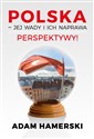 Polska jej wady i ich naprawa Perspektywy in polish