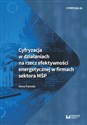 Cyfryzacja w działaniach na rzecz efektywności energetycznej w firmach sektora MŚP polish usa