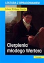 Cierpienia młodego Wertera. Lektura z opracowaniem polish usa