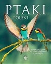 Ptaki Polski Kompletna lista 450 stwierdzonych gatunków Polish Books Canada