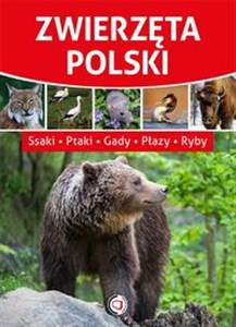 Zwierzęta Polski  