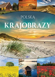 Polska. Krajobrazy buy polish books in Usa