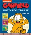 Garfield Tłusty koci trójpak Tom 10 Polish Books Canada