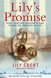 Lily's Promise   