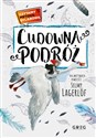 Cudowna podróż Czytamy metodą sylabową - Alicja Karczmarska-Strzebońska