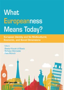 What Europeanness Means Today? European Identity and Its Multicultural, Economic, and Social Dimensions polish usa