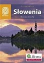 Słowenia Słoneczna strona Alp przewodnik buy polish books in Usa
