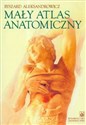 Mały atlas anatomiczny pl online bookstore