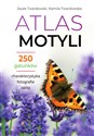 Atlas motyli 250 gatunków - Kamila Twardowska, Jacek Twardowski