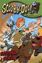 Scooby Doo Na tropie komiksów 14/2013 Pustynna burza - Polish Bookstore USA