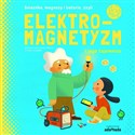 Elektromagnetyzm i jego tajemnice - Kaid-Salah Ferron Sheddad, Eduard Altarriba
