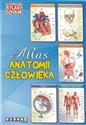 Ilustrowany atlas szkolny.Atlas anatomii człowieka - Opracowanie Zbiorowe