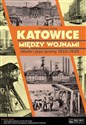Katowice między wojnami Miasto i jego sprawy 1922-1939 