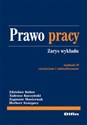 Prawo pracy Zarys wykładu books in polish