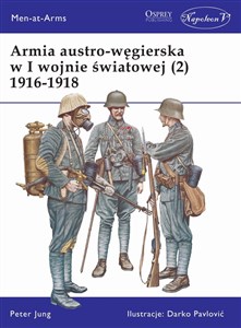 Armia austro-węgierska w I Wojnie Światowej 1916-1918. Tom 2  
