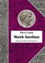 Marek Aureliusz buy polish books in Usa