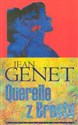 Querelle z Brestu online polish bookstore