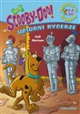 Scooby-Doo! Upiorni rycerze Polish Books Canada