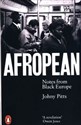 Afropean Notes from Black Europe to buy in USA