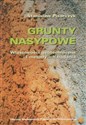 Grunty nasypowe Właściwości geotechniczne i metody ich badania. polish books in canada