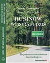 Rusinów wczoraj i dziś buy polish books in Usa