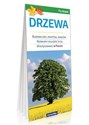 Drzewa - Opracowanie Zbiorowe