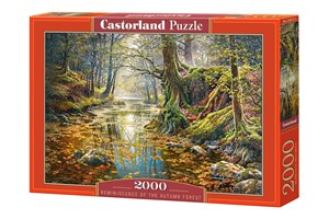 Puzzle Reminiscence of the Autumn Forest 2000 C-200757 pl online bookstore