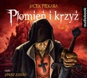 CD MP3 PŁOMIEŃ I KRZYŻ TOM 2  - JACEK PIEKARA