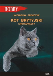 Kot brytyjski krótkowłosy Polish Books Canada