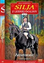 Silja z Leśnej Doliny Tom 30 Aresztowanie - Polish Bookstore USA