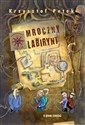 Mroczny labirynt - Krzysztof Petek