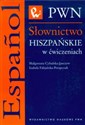 Słownictwo hiszpańskie w ćwiczeniach - Małgorzata Cybulska-Janczew, Izabela Fabjańska-Potapczuk