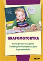 Grafomotoryka Karty pracy na zajęcia korekcyjno-kompensacyjne w przedszkolu Polish bookstore