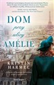 Dom przy ulicy Amelie - Kristin Harmel