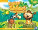 Super Safari American English Level 2 Student's Book with DVD-ROM 