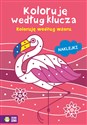 Koloruję według klucza Koloruję według wzoru - Opracowanie Zbiorowe