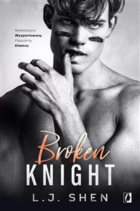 Broken Knight All Saints High Tom 2 books in polish