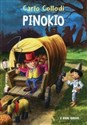 Pinokio w.2021 Canada Bookstore