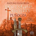 [Audiobook] Bolesław Chrobry Puszcza polish usa