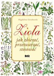 Zioła Jak zbierać, przetwarzać, stosować Polish bookstore